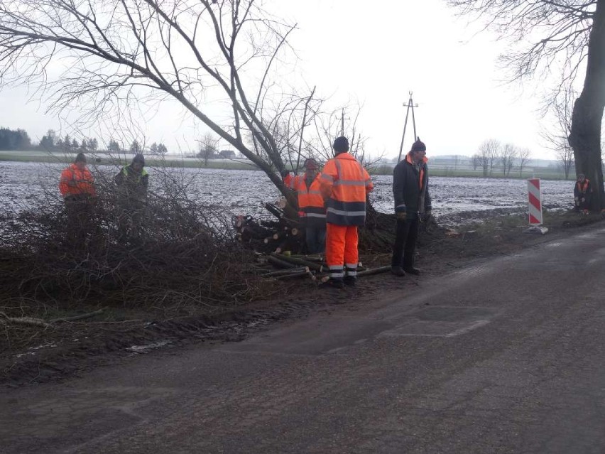 Na ulicy Wierzbowej wreszcie ruszyły remonty!