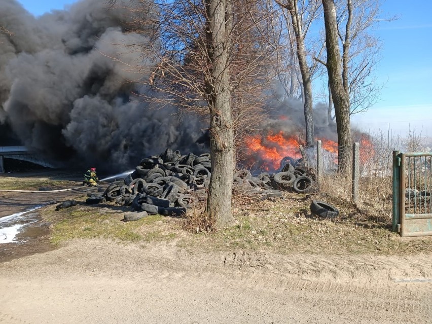 Pożar w miejscowości Widok w gminie Głubczyce.