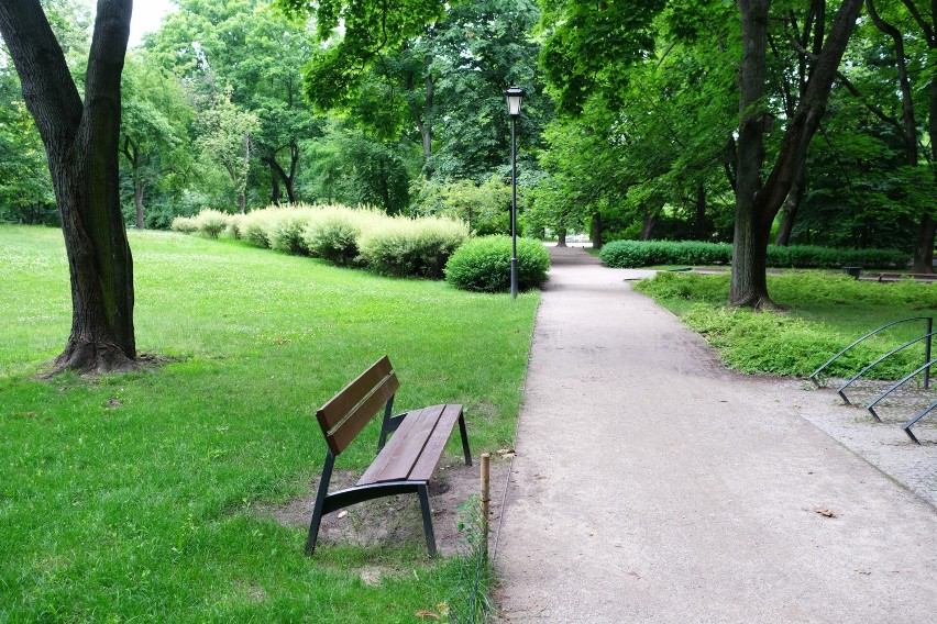 Ogród Krasińskich. historyczny park, który odzyskał dawną świetność. Wybierz się na spacer wśród pięknych kasztanowców