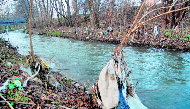 Brzeg rzeki płynącej przez  oba Prądniki  przypomina wielkie wysypisko śmieci