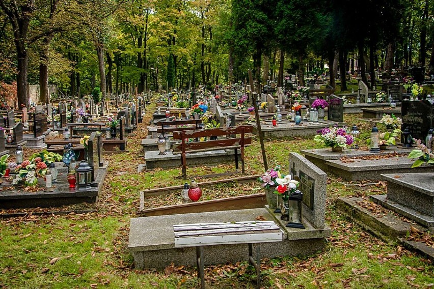 Nekropolie Wałbrzycha. Cmentarz komunalny przy ulicy Moniuszki (ZDJĘCIA)