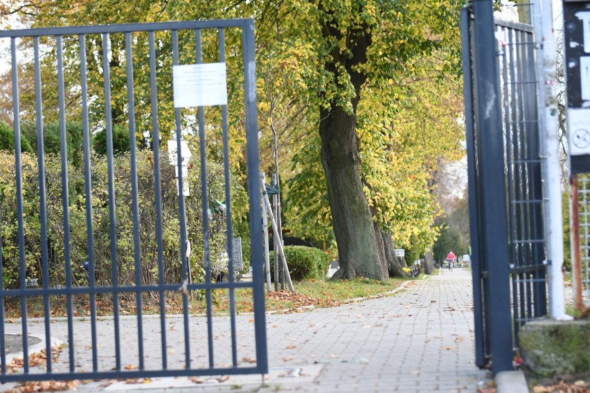 Cmentarz w Żarach pusty, chryzantemy można kupić tutaj jeszcze do 10 listopada. Miasto udekorowano chryzantemami odkupionymi od sprzedawców