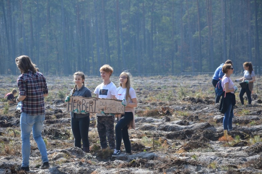 Uczniowie "Herberta" sadzili las pod Bełchatowem