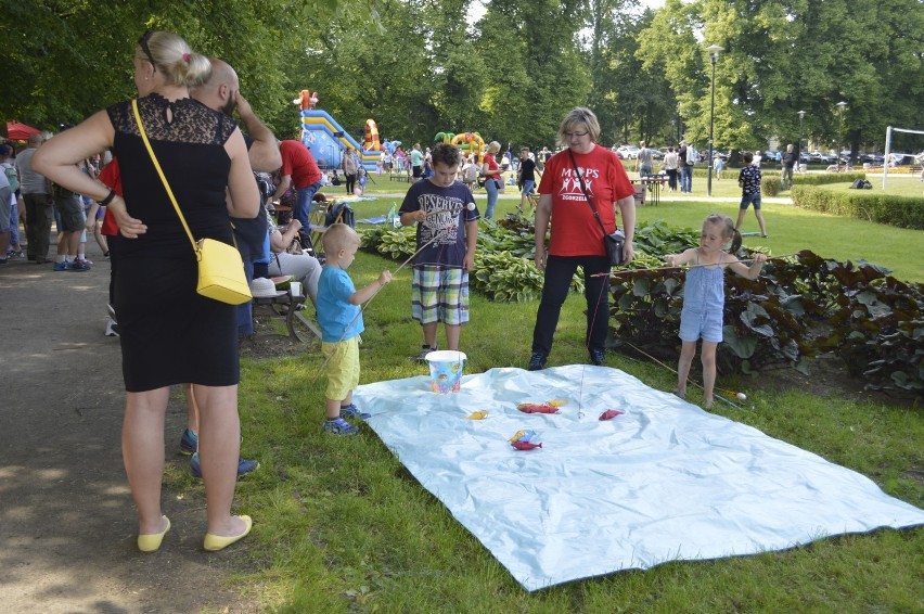 Mnóstwo rodzin na majowym pikniku sportowo-rekreacyjnym w Zgorzelcu! [GALERIA]