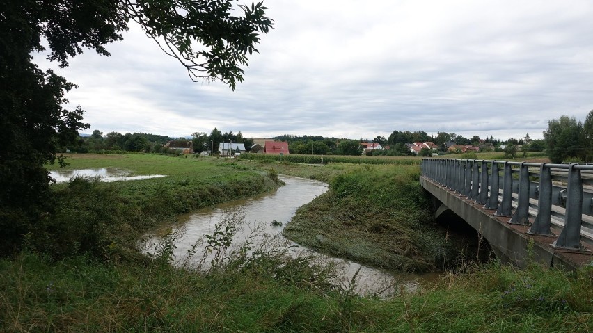 Krajobraz po lokalnej powodzi w powiecie nyskim. Mieszkańcy liczą straty