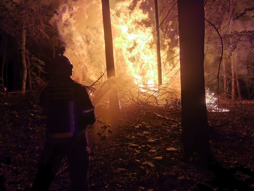 Nocny pożar na osiedlu. Strażacy z Goleniowa znów w akcji