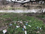 Wisłok w Krośnie jak wysypisko śmieci. Na brzegach rzeki zalegają setki odpadów [ZDJĘCIA]