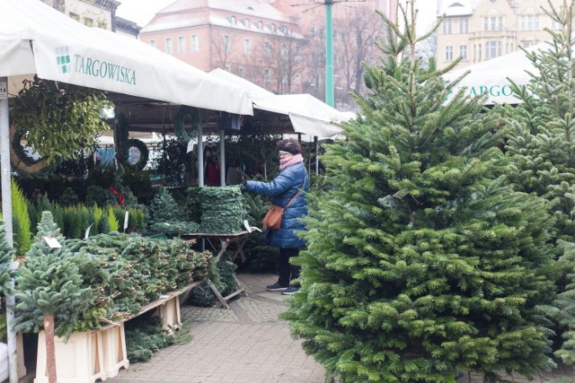 Miejsc, w których można kupić świąteczne drzewko, z każdym dniem jest coraz więcej. Sprzedawcy wystawiają się w Poznaniu przy sklepach oraz na placach rynków. Od kilku dni takie drzewka można kupić między innymi na rynku Jeżyckim oraz placu Wielkopolskim. 
Zobacz, ile w tym roku trzeba wydać na drzewko  --->
