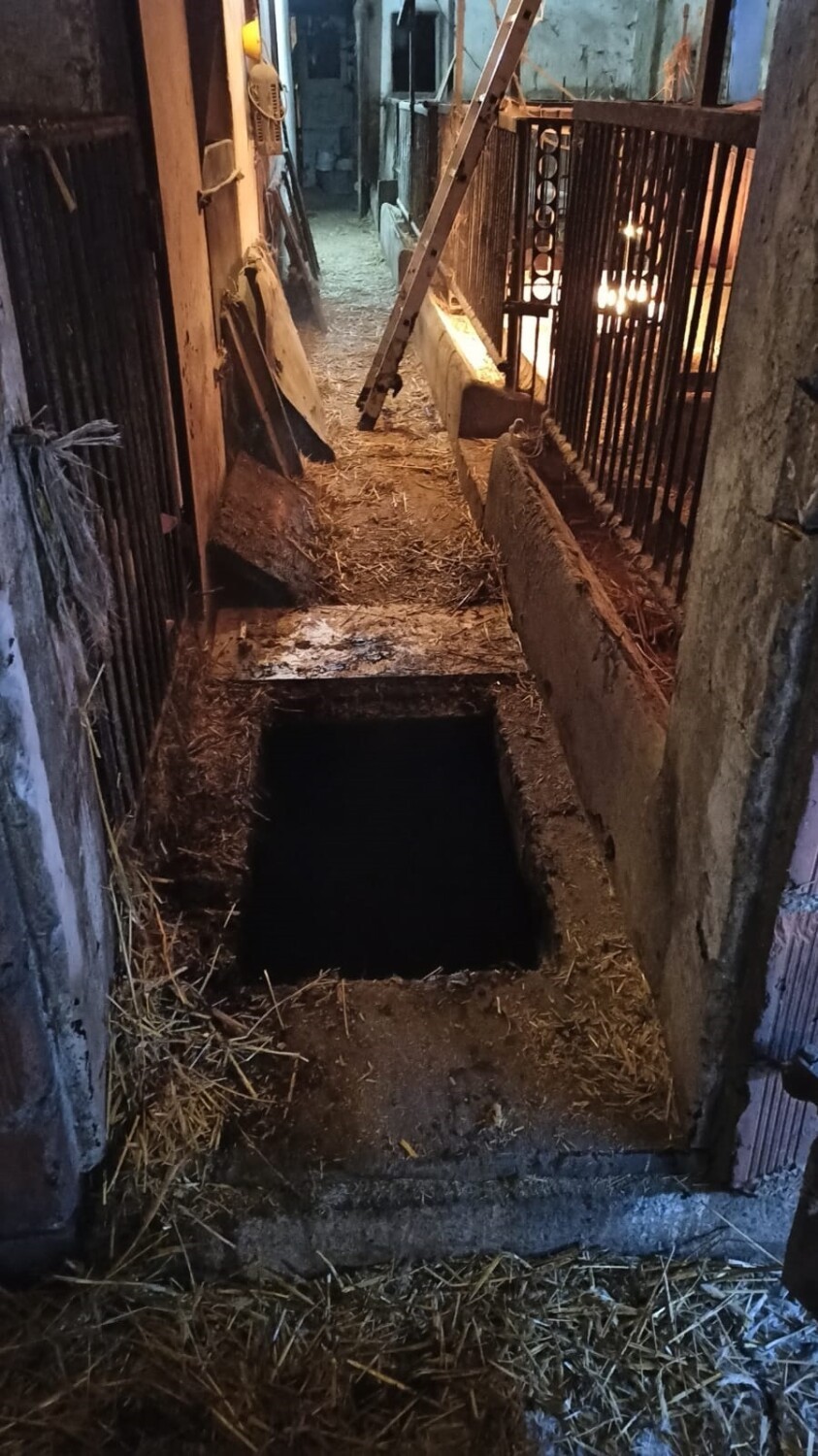 W Toporowie trzy małe prosiaczki wpadły do zbiornika na gnojowicę. Z pomocą przyszli strażacy