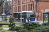 Tak pojedzie komunikacja miejska na Wszystkich Świętych 2023 w Bydgoszczy. Zobacz rozkłady autobusów i tramwajów