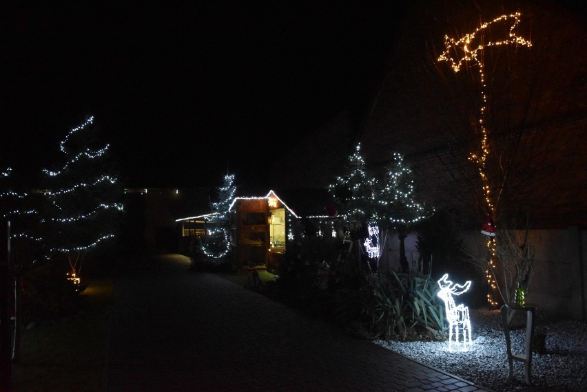 Żywa szopka w Karczewie. Na podwórku Pawła Leśniczaka można oglądać piękną instalację świąteczną
