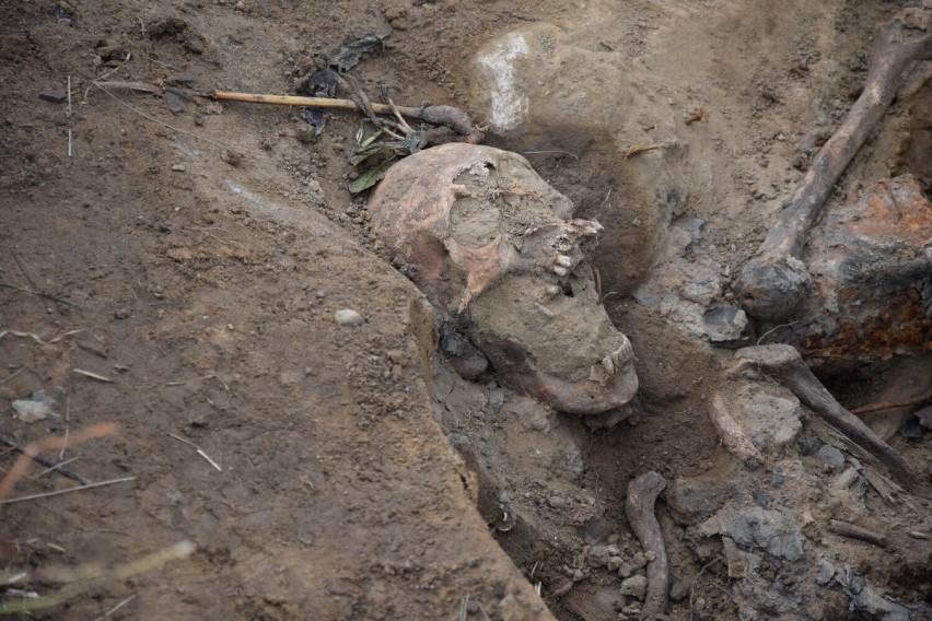 W Zęblewie w gminie Szemud archeolodzy odkryli szczątki żołnierzy niemieckich z okresu drugiej wojny światowej