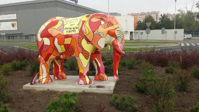 Słoń z partnerskiego Hamm stanął na rondzie w Kaliszu