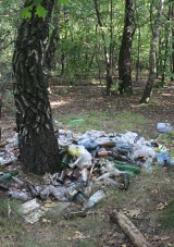 Gliwice: Dzikie wysypisko śmieci przy ul. Toszeckiej, na os. Obrońców Pokoju