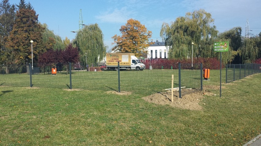 Na wysokości lecznicy dla zwierząt i Szkoły Podstawowej nr...