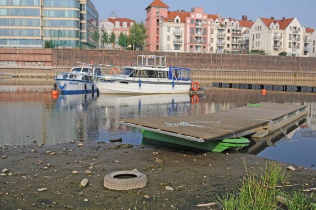 Wydarzenia dnia: 12 sierpnia w Poznaniu i Wielkopolsce 

Warta wysycha w zastraszającym tempie. 126 centymetrów - tyle wynosi obecnie stan wody w rzece w Poznaniu.

Warta wysycha. Poziom wody w rzece jest najniższy w historii! [ZDJĘCIA]