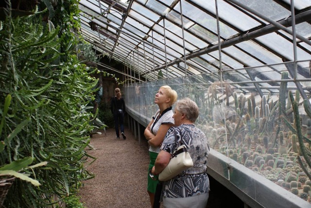 Wrocławski Ogród Botaniczny