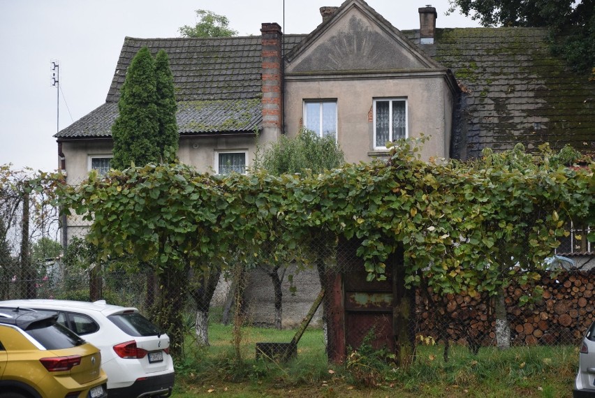 Na zdjęciach archiwalnych mama, babcia i dziadek aktora, a...