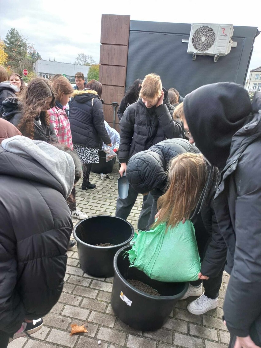Uczniowie Zespołu Szkół Ekonomicznych w Radomsku sadzili kwiaty