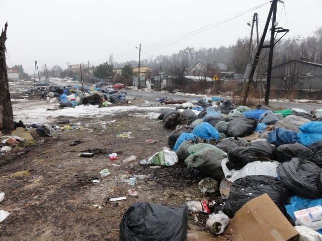 Śmieci wyrzucane są także w miejscach, gdzie miasto organizuje zbiórkę liści.