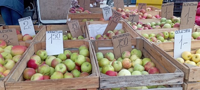 W czwartek, 22 września na targu w Jędrzejowie było chłodno, ale tłoczno. Mieszkańcy licznie zjawili się na targu, przede wszystkim kupując owoce i warzywa.

Sprawdźcie ceny owoców i warzyw w czwartek 22 września na targu w Jędrzejowie. Więcej na kolejnych slajdach >>>