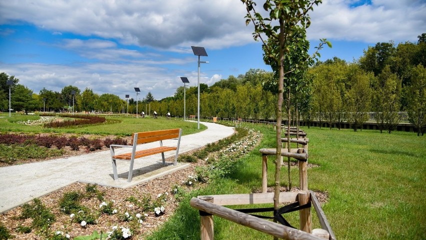 Na Dębcu w Poznaniu powstał właśnie nowy park miejski....