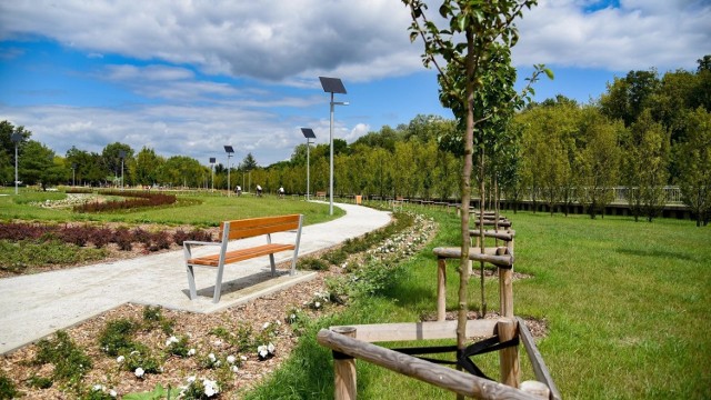 Na Dębcu w Poznaniu powstał właśnie nowy park miejski. Zieleń rozciąga się na obszarze ponad 2,5 hektara. Korzystać można nie tylko z ławek i alejek, ale również placu zabaw dla dzieci i toru przeszkód dla psów. Powstanie parku kosztowało prawie 4 mln zł.
Przejdź do kolejnego zdjęcia --->
