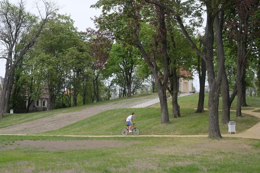 Rewitalizacja parku przy alei Jana Pawła II w Żarach dobiega...