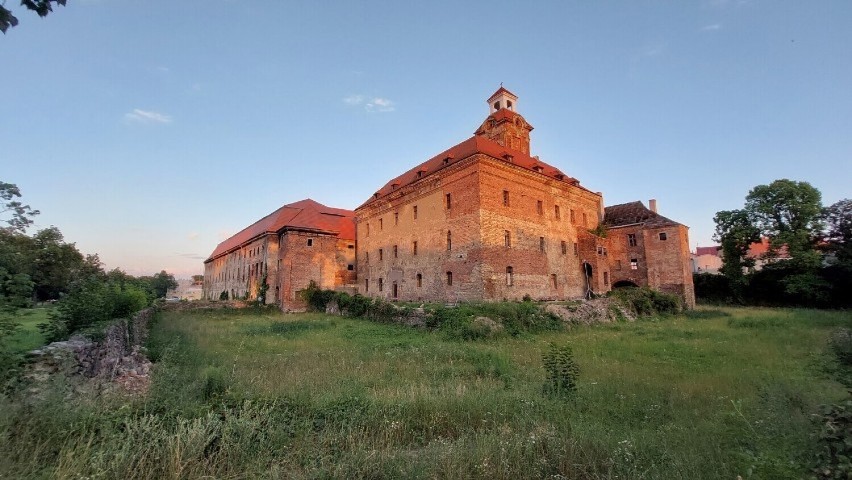 Zamek w Żarach