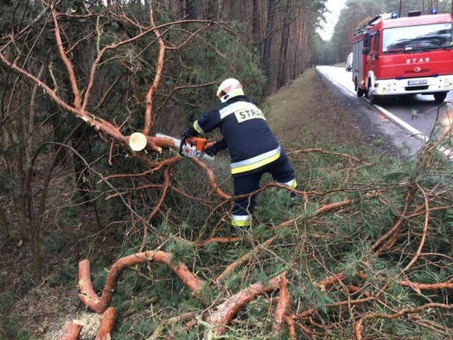 Strażacy z Bukowca dwukrotnie interweniowali w związku z powalonymi drzewami. Za drugim razem wysłano ich na trasę wojewódzką w okolicach Sątop.

Zobacz więcej: Sątopy: Drzewo spadło na drogę [ZDJĘCIA]