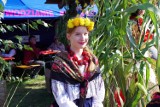 VI Festiwal Kultury Wsi Polskiej – Dożynki Gminy Wądroże Wielkie - zobacz zdjęcia