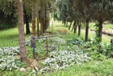 Arboretum Leśne w Stradomi już otwarte. Ile zapłacimy za bilety? 