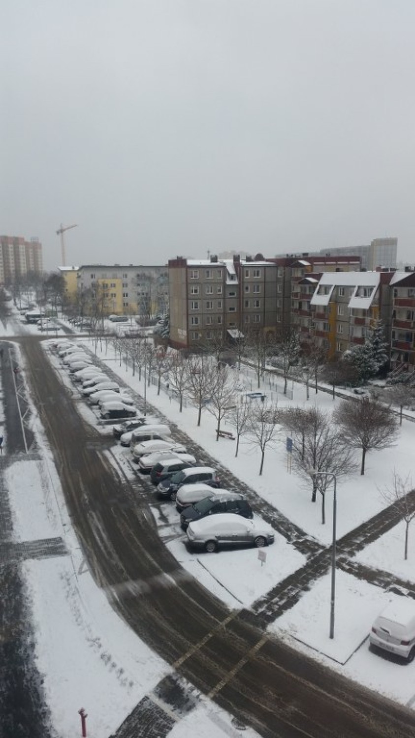 Opady śniegu, które wczoraj nadeszły nad Poznań sprawiły, że...