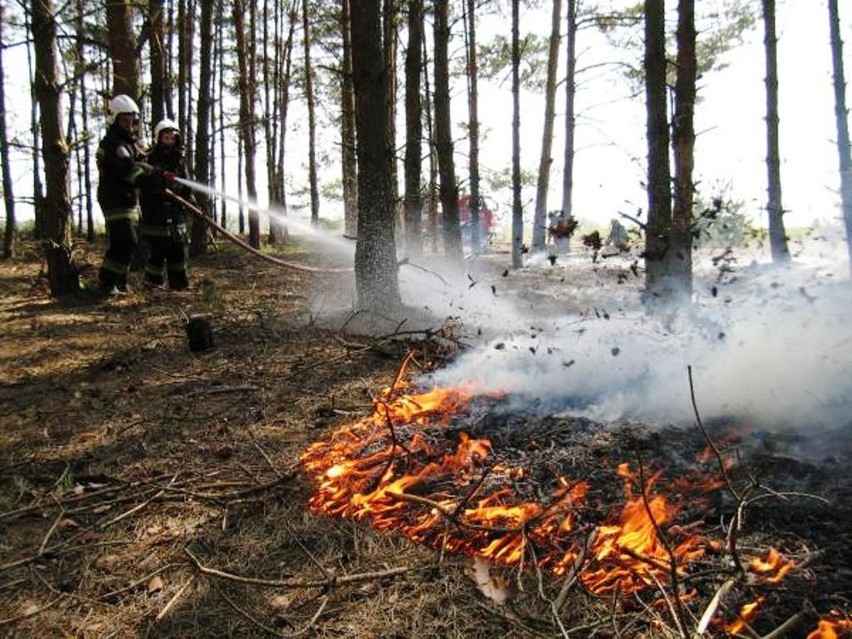 Wysokie zagrożenie pożarami w województwie mazowieckim