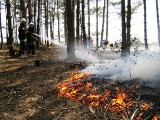 Wysokie zagrożenie pożarami w województwie mazowieckim