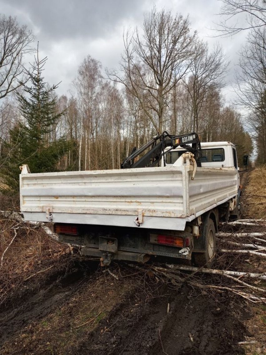 Mercedes zaparkowany w lesie. Skradziony samochód odnaleziony w gminie Zgorzelec