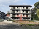 Wandal zniszczył elewację budynku zespołu Zielony Sołacz w Poznaniu. Czy to ta sama osoba, która malowała drzewa w tym parku?