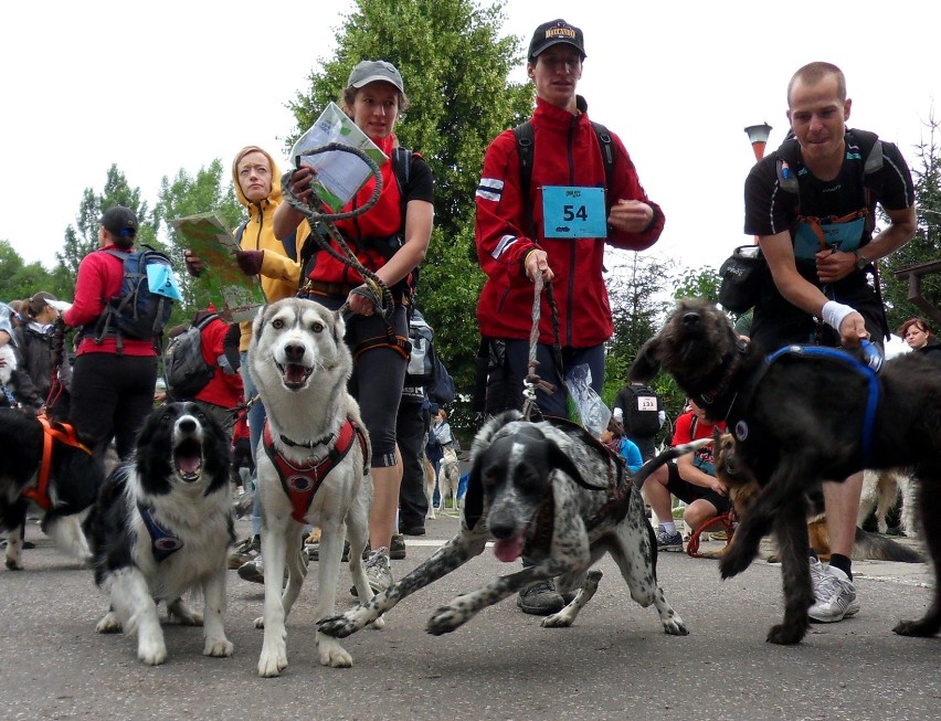 I Mistrzostwa Ziemi Łódzkiej w Dogtrekkingu