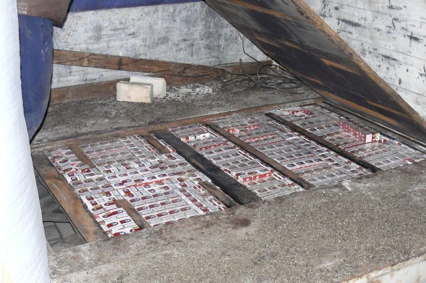 Przemyt 3,5 tys. paczek papierosów w Dorohusku