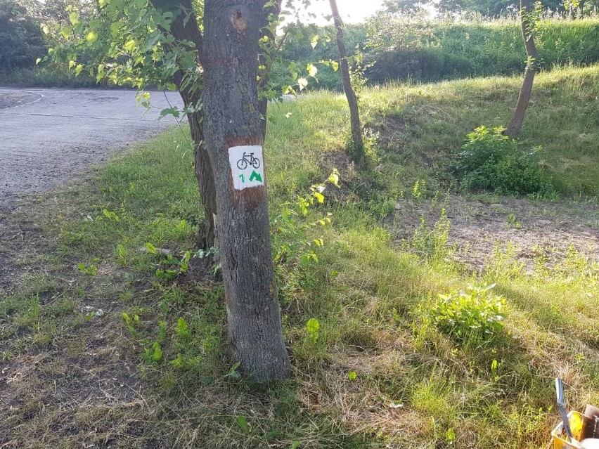 Starostwo Powiatowe w Gnieźnie informuje: "szlaki rowerowe ponownie dostępne po nawałnicy"