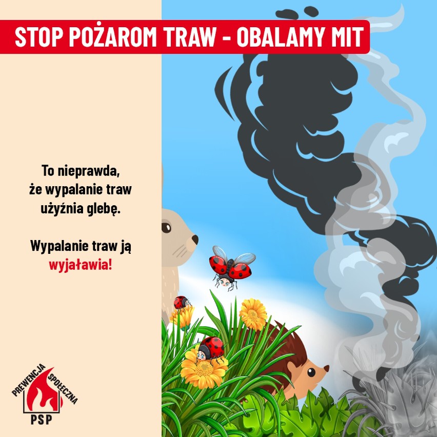 Rusza kampania stop  pożarom traw! Konińscy strażacy apelują o ich niewypalanie