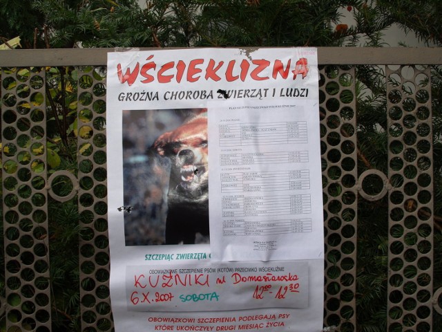 Plakat informujący o akcji szczepienia.