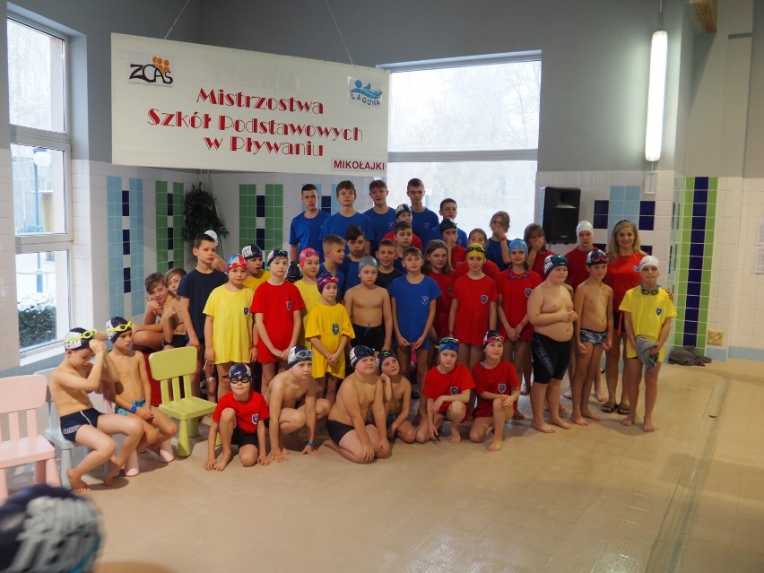 Za nami Mikołajkowe Mistrzostwa w Pływaniu Szkół Podstawowych na pływalni Laguna w Złotowie