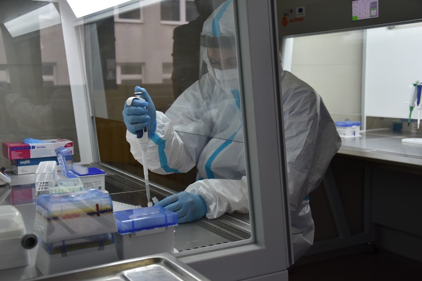 Małopolska zachodnia. 31 nowych przypadków zakażenia koronawirusem SARS-CoV-2