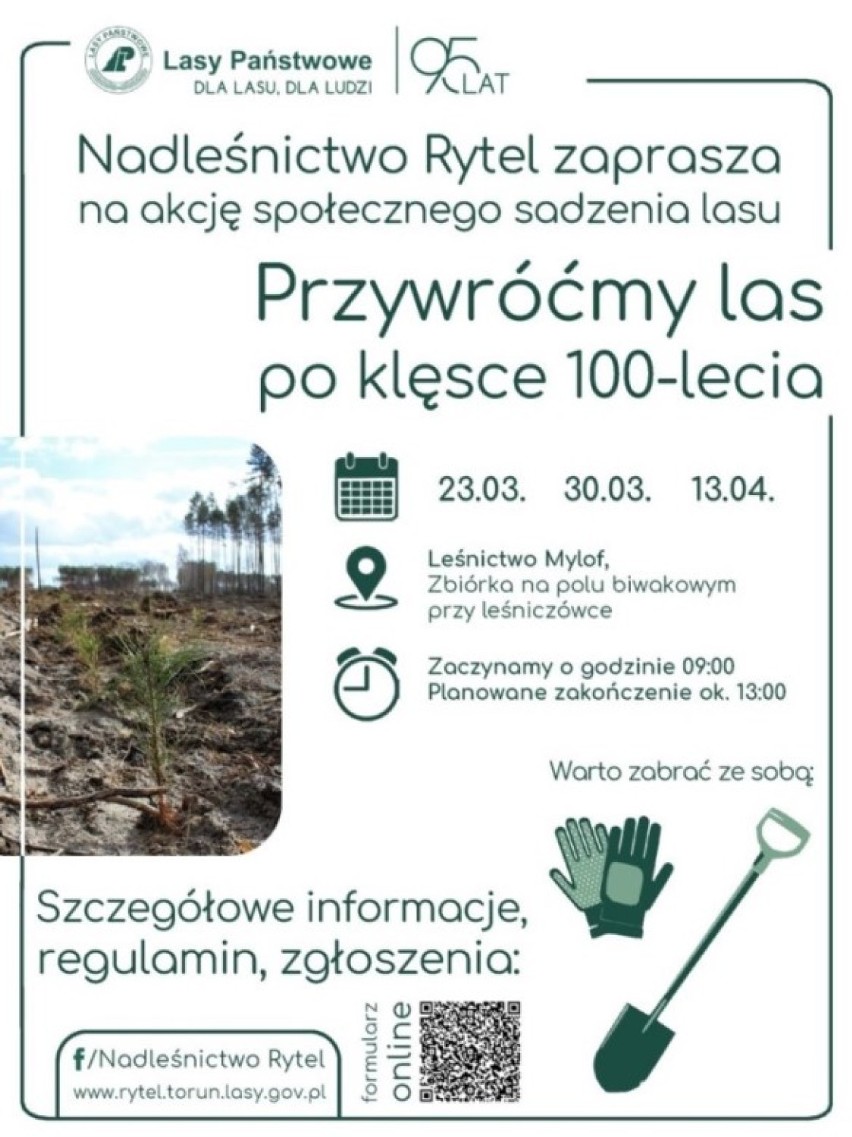 Gmina Czersk. Będą sadzić las - już jutro każdy może dołączyć do odnowy lasów po nawałnicy
