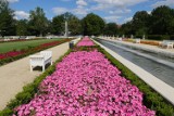 Zabytkowy i zachwycający. Taki jest Park Miejski w Legnicy, jeden z najpiękniejszych parków na Dolnym Śląsku 