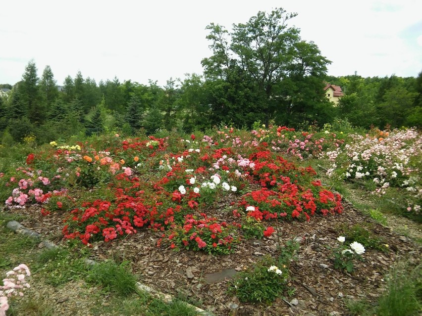 Rosarium przed kradzieżą