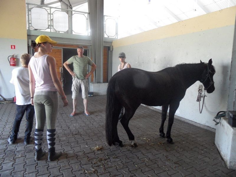 Stadnina koni w Jaworznie [ZDJĘCIA]. Pomysł na dobre wakacje