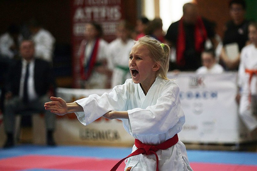Cuprum Cup International Karate - Polish Open w Legnicy.