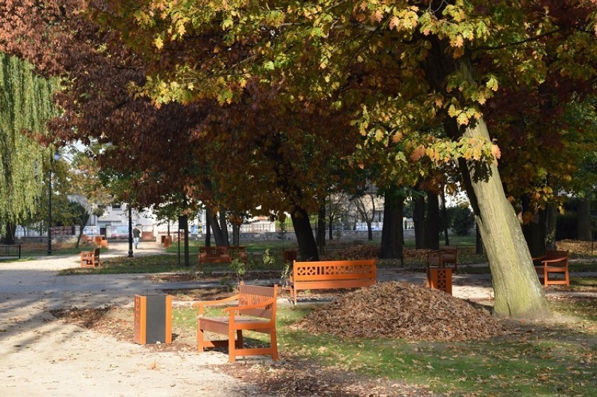 Tak wygląda Park Miejski w Zduńskiej Woli po rewaloryzacji. Już otwarty dla mieszkańców [zdjęcia]